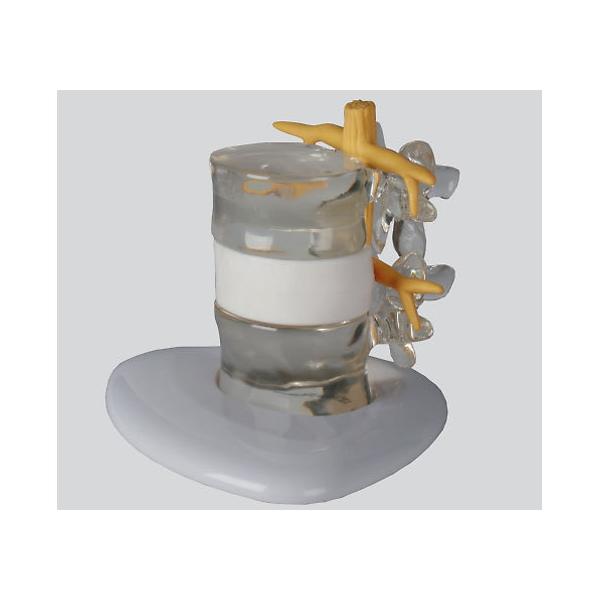 y񂹁zirX wjAf 190×160×140 4400 ͌^  Ō 