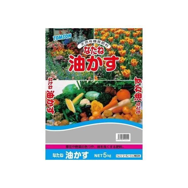 y񂹁zg\R[|[V Ȃ˖ 5-2-1 5kg 엿 ͍ | K[fjO