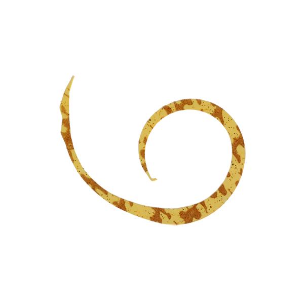 y񂹁zWbJ rrXCb`T+lN^C}CNJ[[X GrI A[֘Ai A[ ֘Ai ނ AEghA