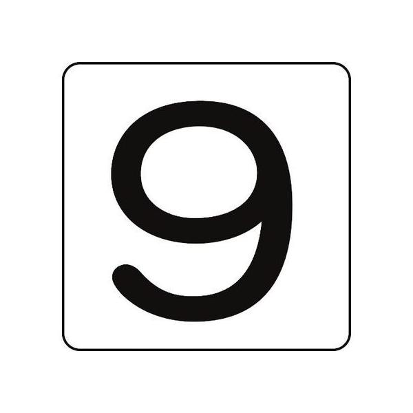 y񂹁zXebJ[ 9 HS-9(5P) 80×80mm 5g A~ TCXebJ[ ē TCv[g tAV[ \ W ono f