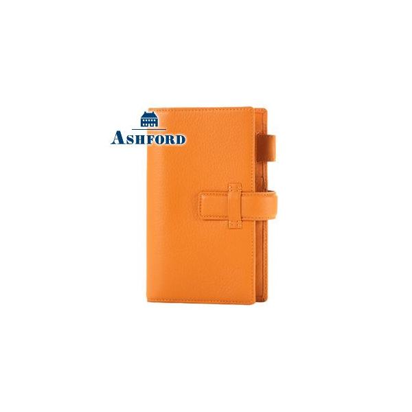 VXe蒠 oCu v AVtH[h ꖳ Vt oCu xg VXe蒠 IW No. 7213-084