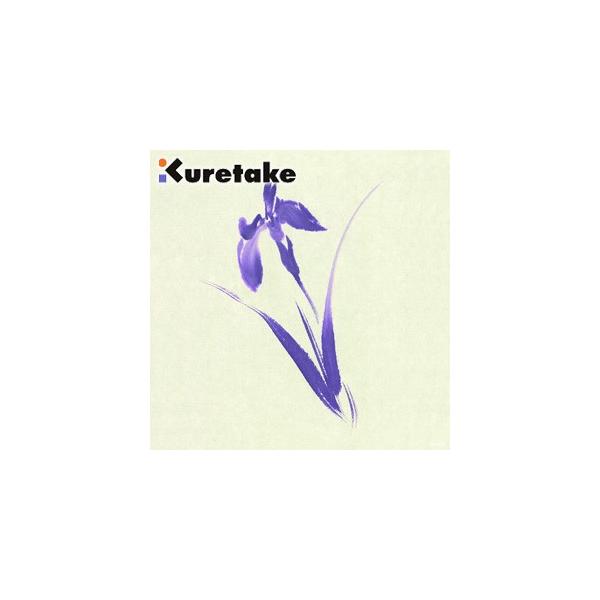  N^P n  nEoEGĂݗp AU110-1