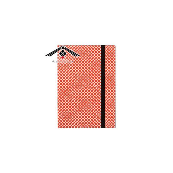 t {iFTa  Plus vX JmR SKW1501