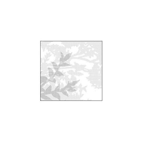 XN[g[ f[^[ f[^[WjA XN[ 12Zbg JR-528 No. 15528