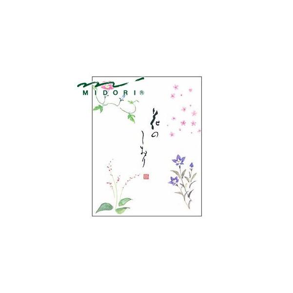 ~h Ԃ̂ 32  10Zbg No. 20367006