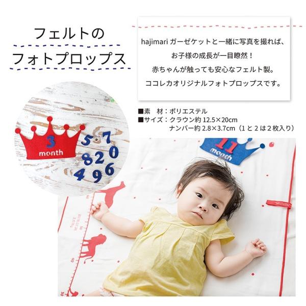 フォトプロップス クラウン 王冠 月齢フォト ベビーフォト インスタ フェルト Buyee Buyee 日本の通販商品 オークションの代理入札 代理購入