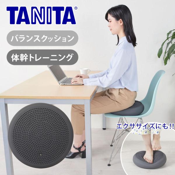 他サイト： タニタ バランスクッション TS-959 トレーニング エクササイズ クッション 省スペース オフィス TANITA 椅子 座るだけ インナーマッスル 自宅 筋トレ TS959|||||の商品画像