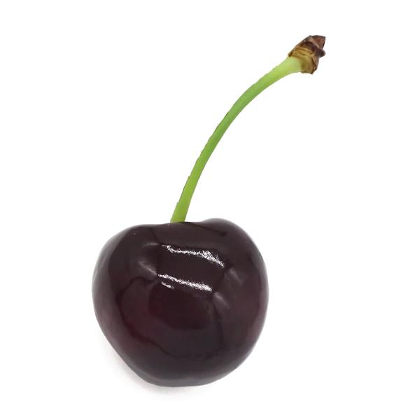 食品サンプル 食べちゃいそうな アメリカンチェリー マグネット