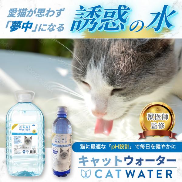 キャットウォーター 猫の水 500ｍｌ 12本 ペット 天然水 水分補給 尿トラブル尿路健康 ストルバイト予防 ミネラルバランス 腎臓サポート 水分補給 体内浄化