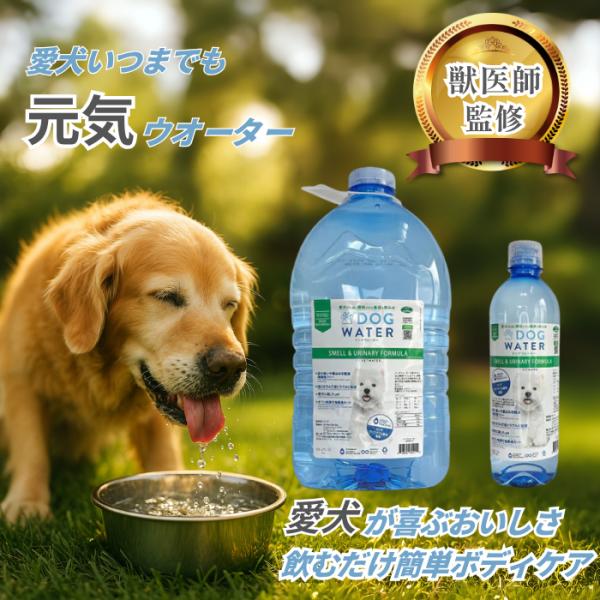 ドッグウォーター 犬の水 500ml 24本 ペット 天然水 水分補給 尿トラブル尿路健康 ストルバイト予防 ミネラルバランス 腎臓サポート 水分補給 体内浄化
