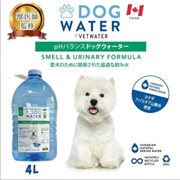 ドッグウォーター 犬の水 4Ｌ 2本 ペット 天然水 水分補給 尿トラブル尿路健康 ストルバイト予防 ミネラルバランス 腎臓サポート 水分補給 体内浄化