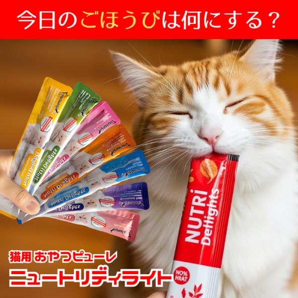 おやつ ７種類３本 21本入 ピューレおやつ 猫ピューレ キャットピューレ 無添加 猫スティックおやつ  シグネチャー7 猫スーパーフード 猫健康おやつ 猫免疫ケア