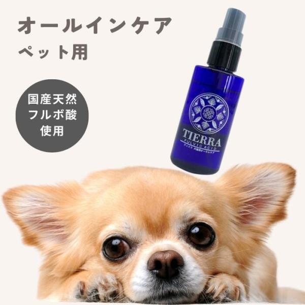 ティエラ 200ml 愛犬 愛猫 歯周病予防 犬 猫 オーラルケア はみがき マウスケア 消臭 口臭ケア 皮膚炎 ペット用品 高齢ペット サプリ 予防ケア