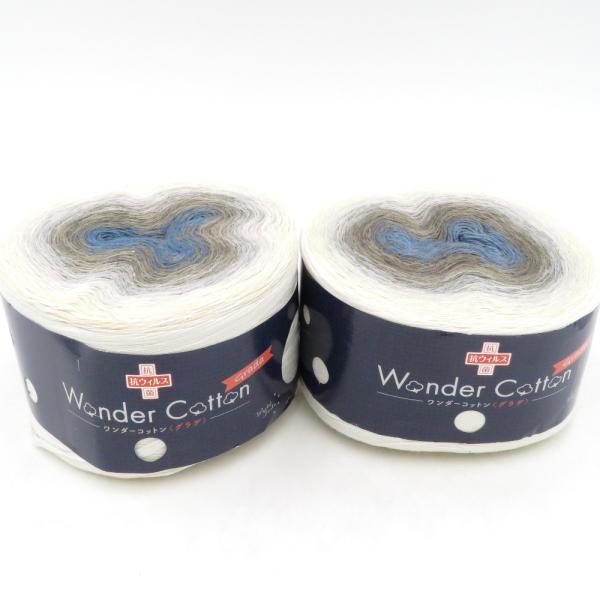 Yuzawaya ユザワヤ 毛糸 抗ウイルス ワンダーコットン・グラデ 2玉セット 1番色  グラデーション 1玉200g 希少 未使用品