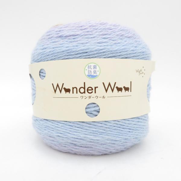 Yuzawaya ユザワヤ 毛糸 抗菌防臭 Wonder Wool ワンダーウール 色番16 150g×1玉 グラデーション 並太 みずいろ パープル系 未使用品
