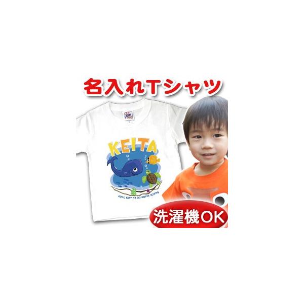 O TVc q oYj  LbY a Mtg v[g xr[ C̒̂ [֑Ή Z o  yAbN