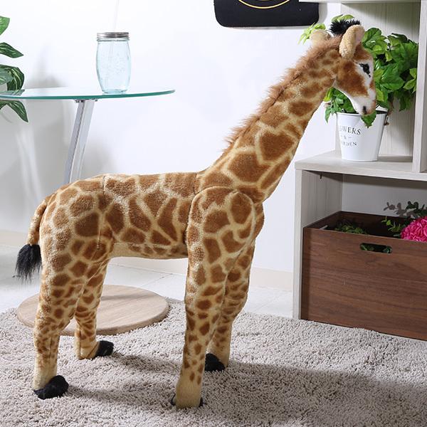 ʂ `FAXc[ LbY  IuWF Aj}`FA fR[V G CeA v[gpi