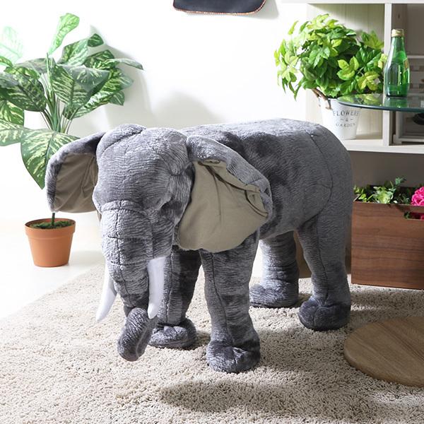 ʂ `FAXc[ LbY  IuWF Aj}`FA fR[V G CeA v[gpi