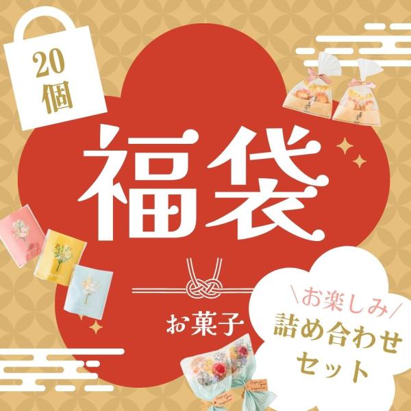 プチギフト 福袋 お楽しみ袋 合計20個 ビジネス 会社 入浴剤 バスソルト 卒業 卒園 退職 個包装 結婚式 卒園 卒業 母の日 父の日 子供 ココサブ