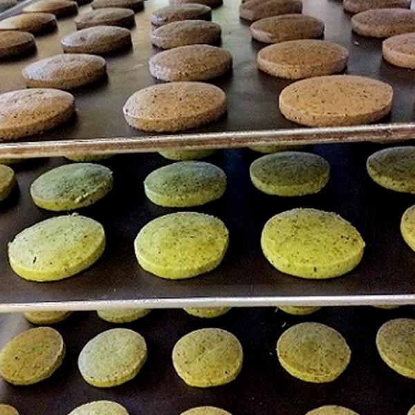 煎茶・ほうじ茶クッキー 10個（各5個）箱入り SHCT-16【株式会社山本園】 ※