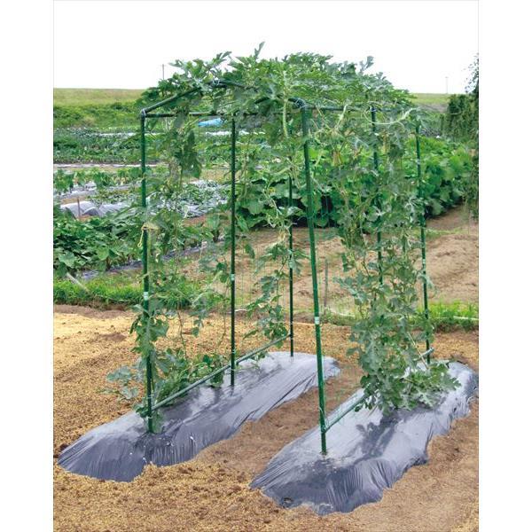 未定 第一ビニール 空中栽培つる棚セット Tds 1 8 H メーカー直送品 つる野菜 空中栽培 小玉スイカ キュウリ 小型カボチャ Icn Dib 4 イチネンネット 通販 Yahoo ショッピング