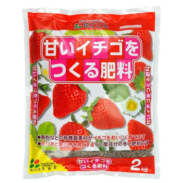 花ごころ 甘いイチゴを作る肥料 2kg Icn Kfs イチネンネット 通販 Yahoo ショッピング