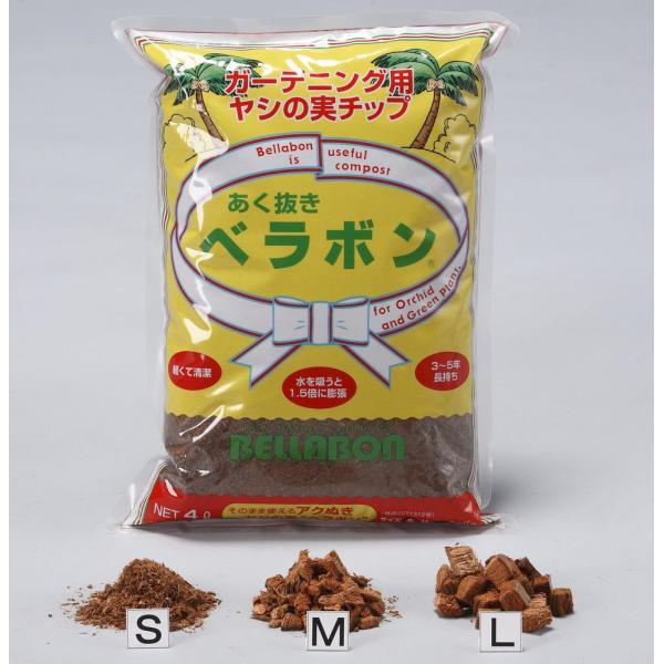 他サイト： フジック あく抜きベラボン L粒 4L 4976568150432の商品画像