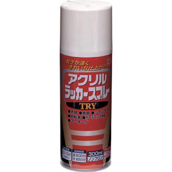 他サイト： ニッペホームプロダクツ:アクリルラッカースプレー TRY グレー 300ml 4976124253614(メーカー直送品) スプレー アクリルの商品画像