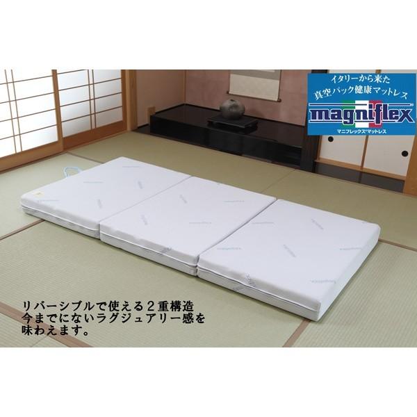 マニフレックス DDウイング ダブル マニフレックス DDウィング マットレス ダブル 137×198×13cm