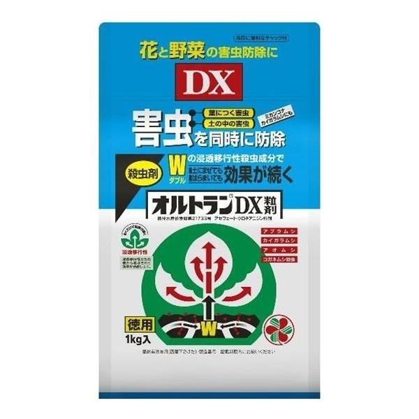 住友化学園芸 オルトランdx粒剤 1kg ガーデニング 害虫 駆除 イチネンネット Paypayモール店 通販 Paypayモール