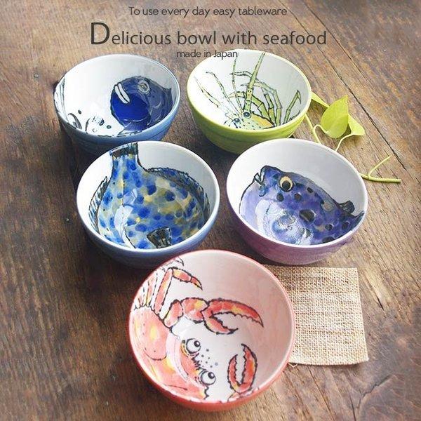 Z 5Zbg C̍KŔ 13.3cm ǂԂ {[ aH HZbg