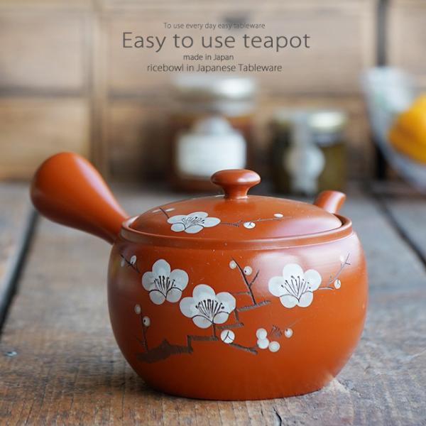 aH 튊   D 500cc ~ }{ eB[|bg t  H Β g n[ueB[    {