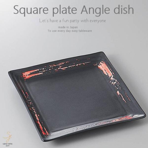 aH ɂɂo^[ݖ̃pX^ ԍ pM XNGA 228×228×25mm  ͂   Z { CX^f