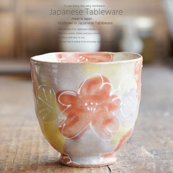 aH ʂDԓۏ ̂  Rbv ^u[     Z {