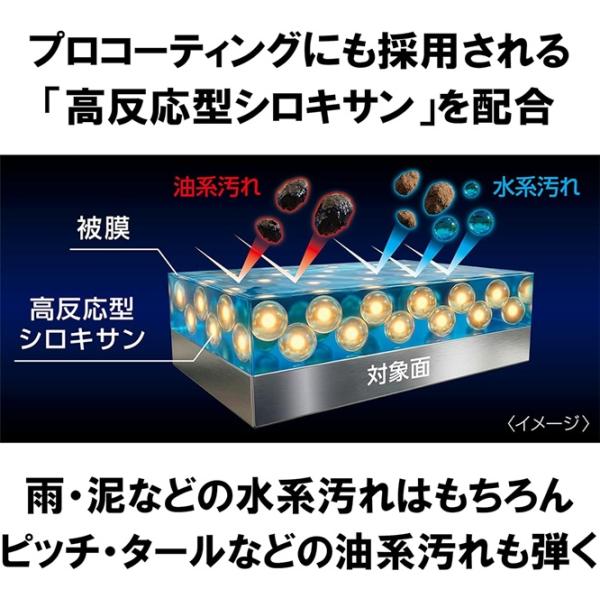 cocovalue_00538-1_2_d_20260224144000