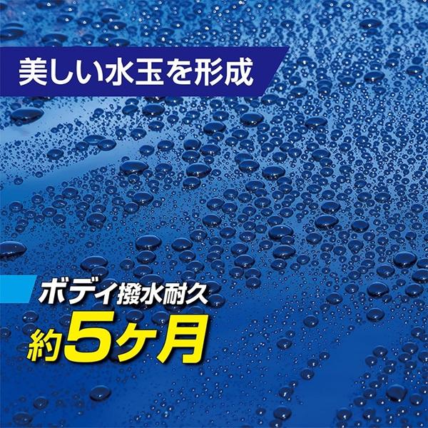 cocovalue_00538-1_4_d_20260224144000