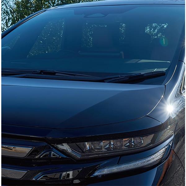 cocovalue_00539-1_4_d_20260225090050