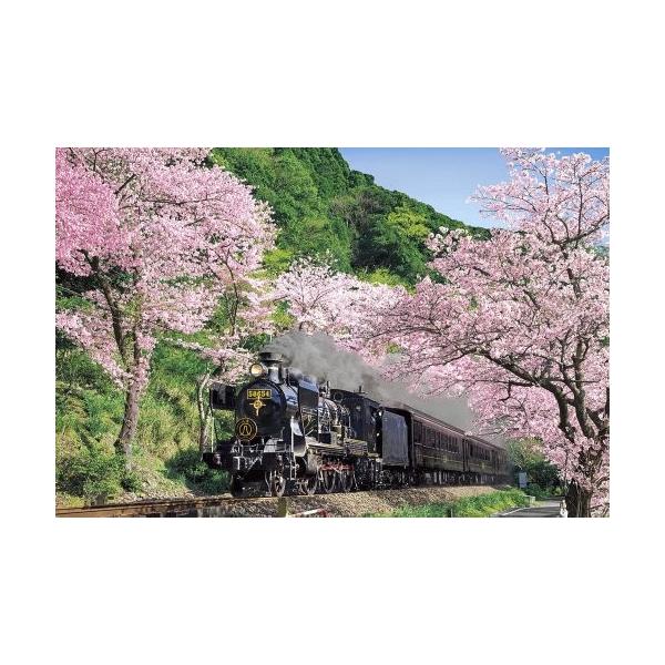 50x75cm 鉄道の旅 春 めざせパズルの達人 ジグソーパズル 鉄道の旅 春 桜並木とsl人吉 50x75cm 1000ピース