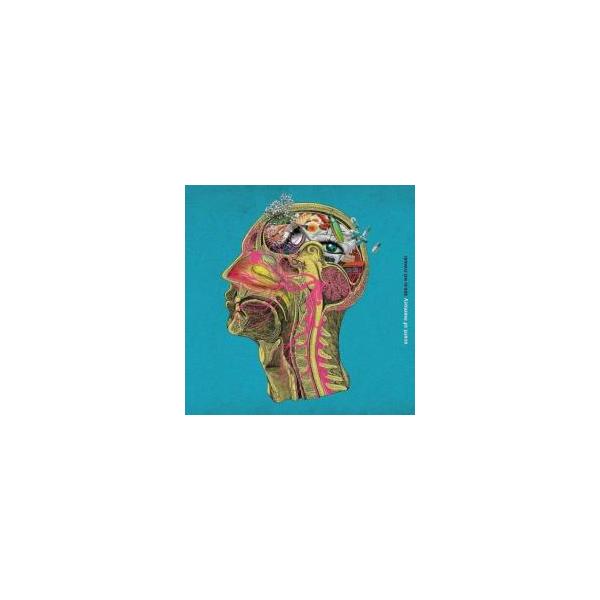 scent of memory 通常盤 レンタル落ち 中古 CD ケース無