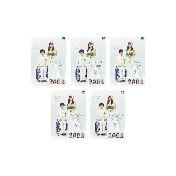 パーフェクトワールド 全5枚 第1話〜第10話 最終▽レンタル用 全巻セット 中古 DVD ケース無