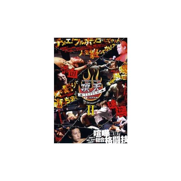 STREET FIGHT 頂天II TEPPEN JAPAN レンタル落ち 中古 DVD