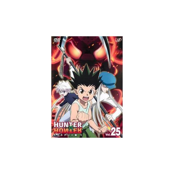 HUNTER×HUNTER ハンター 25 キメラアント編 1 レンタル落ち 中古 DVD