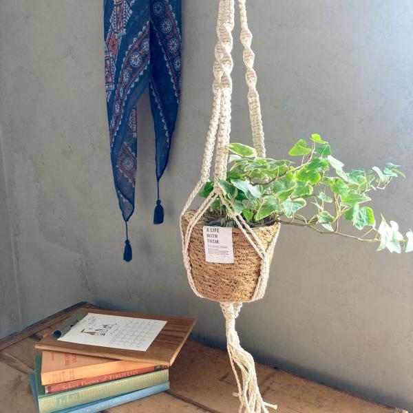 ・コットンロープでマクラメ編みされたプラントハンガー・天然素材のシーグラスのカゴの2点セットになります。　　　──────────────＊観葉植物を吊るして飾るのに◎＊植物を育てたいけれども置き場所が足りない、ペットやお子様がいらっしゃる...