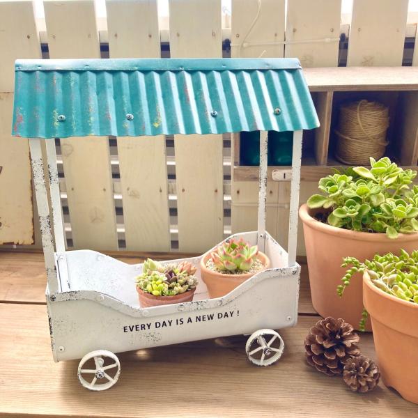 植木鉢 プランター ブリキ 多肉植物 寄せ植え アンティーク