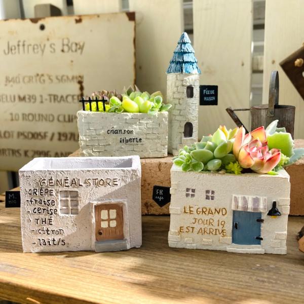 多肉植物 寄せ植え 植木鉢 プランター ガーデニング雑貨 鉢   かわいい サボテン ちまちま寄せ 箱庭 ミニチュア雑貨 北欧 おしゃれ