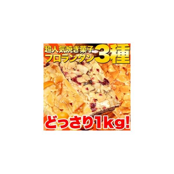 新フロランタン 3種 1kg 訳あり わけあり 大容量 個包装 スイーツ 洋菓子 プードル オレンジ ショコラ フロランタン フロランタン3種