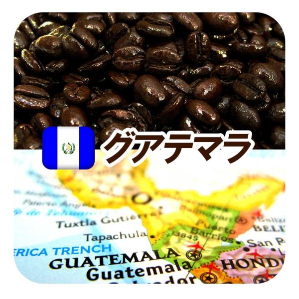 深煎りコーヒー豆 グアテマラ/ガテマラ グァテマラSHB 250gメール便
