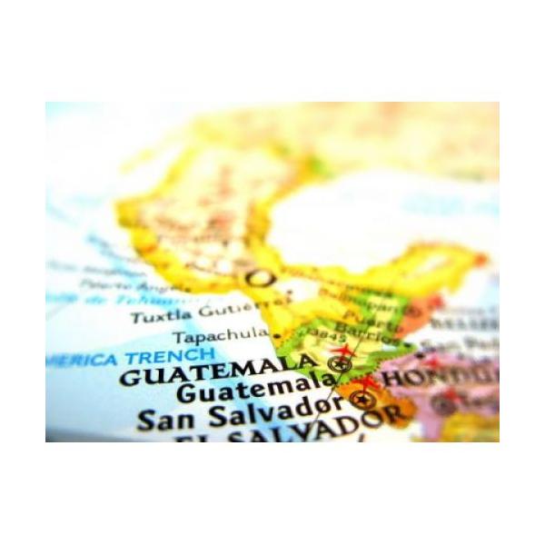 R[q[ [ O@e} 1kg ق̂ɍ銹kñVgXt[c̍ɖLȃRNƃL