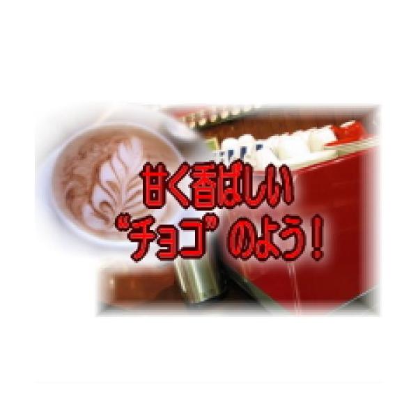  yVX܂҂ R[q[  GXvb\ 120g [ {C^AEtBcFEuh/GXvb