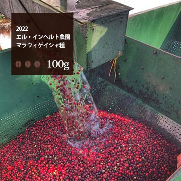 グアテマラゲイシャコーヒー 500g おいしい珈琲屋のグアテマラゲイシャコーヒー500g
